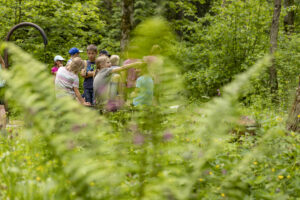 Appenzell, Appenzell Ausserrohden, Appenzeller Hinterland, Hundwil, Ostschweiz, Schweiz, Suisse, Switzerland