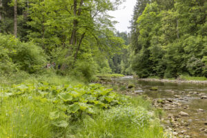 Appenzell, Appenzell Ausserrohden, Appenzeller Hinterland, Hundwil, Ostschweiz, Schweiz, Suisse, Switzerland