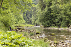 Appenzell, Appenzell Ausserrohden, Appenzeller Hinterland, Hundwil, Ostschweiz, Schweiz, Suisse, Switzerland