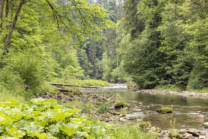 Appenzell, Appenzell Ausserrohden, Appenzeller Hinterland, Hundwil, Ostschweiz, Schweiz, Suisse, Switzerland