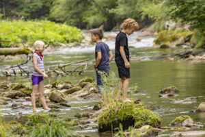 Appenzell, Appenzell Ausserrohden, Appenzeller Hinterland, Hundwil, Ostschweiz, Schweiz, Suisse, Switzerland
