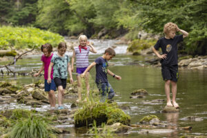 Appenzell, Appenzell Ausserrohden, Appenzeller Hinterland, Hundwil, Ostschweiz, Schweiz, Suisse, Switzerland