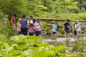 Appenzell, Appenzell Ausserrohden, Appenzeller Hinterland, Hundwil, Ostschweiz, Schweiz, Suisse, Switzerland