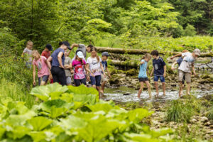 Appenzell, Appenzell Ausserrohden, Appenzeller Hinterland, Hundwil, Ostschweiz, Schweiz, Suisse, Switzerland