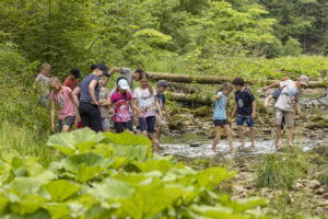 Appenzell, Appenzell Ausserrohden, Appenzeller Hinterland, Hundwil, Ostschweiz, Schweiz, Suisse, Switzerland
