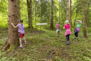 Appenzell, Appenzell Ausserrohden, Appenzeller Hinterland, Hundwil, Ostschweiz, Schweiz, Suisse, Switzerland