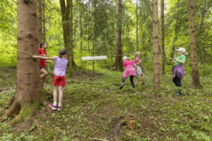 Appenzell, Appenzell Ausserrohden, Appenzeller Hinterland, Hundwil, Ostschweiz, Schweiz, Suisse, Switzerland