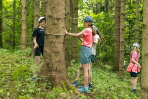Appenzell, Appenzell Ausserrohden, Appenzeller Hinterland, Hundwil, Ostschweiz, Schweiz, Suisse, Switzerland