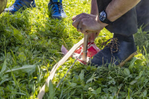 Appenzell, Appenzell Ausserrohden, Appenzeller Hinterland, Hundwil, Ostschweiz, Schweiz, Suisse, Switzerland