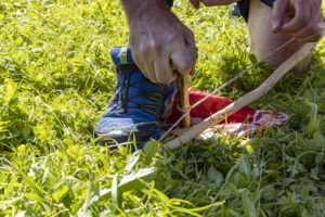 Appenzell, Appenzell Ausserrohden, Appenzeller Hinterland, Hundwil, Ostschweiz, Schweiz, Suisse, Switzerland