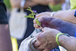 Appenzell, Appenzell Ausserrohden, Appenzeller Hinterland, Hundwil, Ostschweiz, Schweiz, Suisse, Switzerland