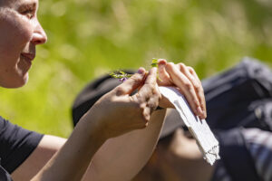 Appenzell, Appenzell Ausserrohden, Appenzeller Hinterland, Hundwil, Ostschweiz, Schweiz, Suisse, Switzerland