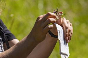 Appenzell, Appenzell Ausserrohden, Appenzeller Hinterland, Hundwil, Ostschweiz, Schweiz, Suisse, Switzerland