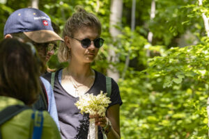 Appenzell, Appenzell Ausserrohden, Appenzeller Hinterland, Hundwil, Ostschweiz, Schweiz, Suisse, Switzerland