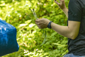 Appenzell, Appenzell Ausserrohden, Appenzeller Hinterland, Hundwil, Ostschweiz, Schweiz, Suisse, Switzerland