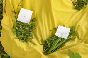 Appenzell, Appenzell Ausserrohden, Appenzeller Hinterland, Hundwil, Ostschweiz, Schweiz, Suisse, Switzerland