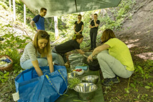 Appenzell, Appenzell Ausserrohden, Appenzeller Hinterland, Hundwil, Ostschweiz, Schweiz, Suisse, Switzerland