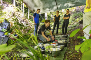 Appenzell, Appenzell Ausserrohden, Appenzeller Hinterland, Hundwil, Ostschweiz, Schweiz, Suisse, Switzerland