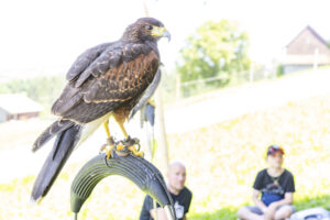 Appenzell, Appenzell Ausserrohden, Appenzeller Hinterland, Hundwil, Ostschweiz, Schweiz, Suisse, Switzerland