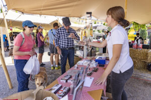 Appenzell, Appenzell Ausserrohden, Appenzeller Hinterland, Hundwil, Ostschweiz, Schweiz, Suisse, Switzerland