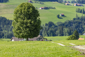 Appenzell, Appenzell Ausserrohden, Appenzeller Hinterland, Hundwil, Ostschweiz, Schweiz, Suisse, Switzerland