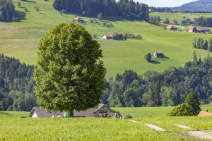 Appenzell, Appenzell Ausserrohden, Appenzeller Hinterland, Hundwil, Ostschweiz, Schweiz, Suisse, Switzerland
