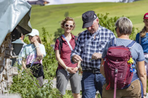 Appenzell, Appenzell Ausserrohden, Appenzeller Hinterland, Hundwil, Ostschweiz, Schweiz, Suisse, Switzerland