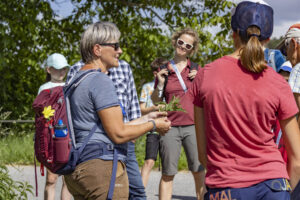 Appenzell, Appenzell Ausserrohden, Appenzeller Hinterland, Hundwil, Ostschweiz, Schweiz, Suisse, Switzerland
