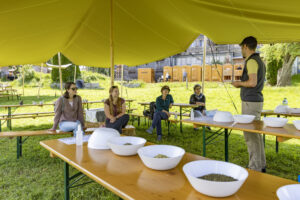 Appenzell, Appenzell Ausserrohden, Appenzeller Hinterland, Hundwil, Ostschweiz, Schweiz, Suisse, Switzerland