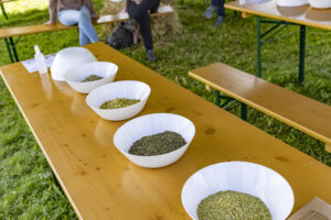 Appenzell, Appenzell Ausserrohden, Appenzeller Hinterland, Hundwil, Ostschweiz, Schweiz, Suisse, Switzerland