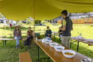 Appenzell, Appenzell Ausserrohden, Appenzeller Hinterland, Hundwil, Ostschweiz, Schweiz, Suisse, Switzerland