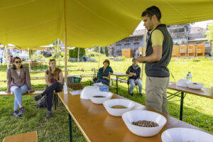 Appenzell, Appenzell Ausserrohden, Appenzeller Hinterland, Hundwil, Ostschweiz, Schweiz, Suisse, Switzerland