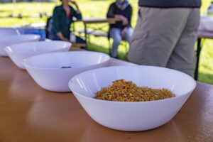 Appenzell, Appenzell Ausserrohden, Appenzeller Hinterland, Hundwil, Ostschweiz, Schweiz, Suisse, Switzerland