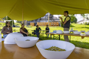 Appenzell, Appenzell Ausserrohden, Appenzeller Hinterland, Hundwil, Ostschweiz, Schweiz, Suisse, Switzerland