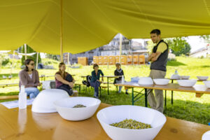 Appenzell, Appenzell Ausserrohden, Appenzeller Hinterland, Hundwil, Ostschweiz, Schweiz, Suisse, Switzerland