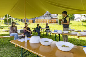Appenzell, Appenzell Ausserrohden, Appenzeller Hinterland, Hundwil, Ostschweiz, Schweiz, Suisse, Switzerland