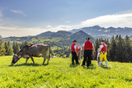 Alp, Alpaufzug, Alpen, Alpfahrt, Alps, Appenzell, Appenzell Ausserrohden, Appenzeller Hinterland, Brauchtum, Frühling, Jahreszeiten, Kühe, Natur, Ostschweiz, Schweiz, Spring, Suisse, Switzerland, Tracht, Urnäsch, alps, tradition, Öberefahre