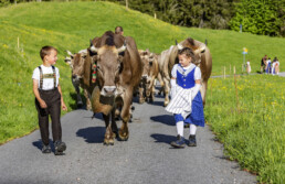 Alpaufzug, Alpen, Alpfahrt, Appenzell, Appenzell Ausserrohden, Appenzeller Hinterland, Brauchtum, Kühe, Landwirtschaft, Ostschweiz, Schweiz, Suisse, Switzerland, Tracht, Urnäsch, Wirtschaft, tradition, Öberefahre