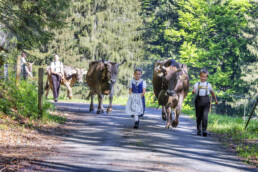 Alpaufzug, Alpen, Alpfahrt, Appenzell, Appenzell Ausserrohden, Appenzeller Hinterland, Brauchtum, Hundwil, Landwirtschaft, Ostschweiz, Schweiz, Suisse, Switzerland, Tracht, Urnäsch, Wirtschaft, tradition, Öberefahre