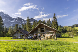Alpaufzug, Alpen, Alpfahrt, Appenzell, Appenzell Ausserrohden, Appenzeller Hinterland, Brauchtum, Hundwil, Landwirtschaft, Ostschweiz, Schweiz, Suisse, Switzerland, Tracht, Urnäsch, Wirtschaft, tradition, Öberefahre