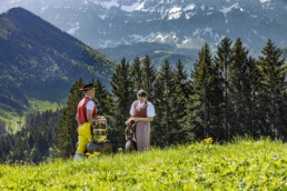 Alp, Alpaufzug, Alpen, Alpfahrt, Alps, Appenzell, Appenzell Ausserrohden, Appenzeller Hinterland, Brauchtum, Frühling, Jahreszeiten, Kühe, Landwirtschaft, Natur, Ostschweiz, Schweiz, Spring, Suisse, Switzerland, Tracht, Urnäsch, Wirtschaft, alps, tradition, Öberefahre