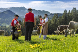 Alp, Alpaufzug, Alpen, Alpfahrt, Alps, Appenzell, Appenzell Ausserrohden, Appenzeller Hinterland, Brauchtum, Frühling, Jahreszeiten, Kühe, Landwirtschaft, Natur, Ostschweiz, Schweiz, Spring, Suisse, Switzerland, Säntis, Tracht, Urnäsch, Wirtschaft, alps, tradition, Öberefahre