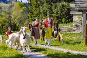 Alp, Alpaufzug, Alpen, Alpfahrt, Alps, Appenzell, Appenzell Ausserrohden, Appenzeller Hinterland, Frühling, Kühe, Ostschweiz, Schweiz, Sennen, Spring, Suisse, Switzerland, Tracht, Urnäsch, alps, tradition