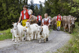 Alpaufzug, Alpen, Alpfahrt, Appenzell, Appenzell Ausserrohden, Appenzeller Hinterland, Brauchtum, Landwirtschaft, Ostschweiz, Schweiz, Suisse, Switzerland, Tracht, Urnäsch, Wirtschaft, tradition, Öberefahre
