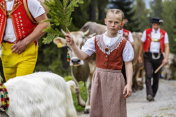 Alpaufzug, Alpen, Alpfahrt, Appenzell, Appenzell Ausserrohden, Appenzeller Hinterland, Brauchtum, Landwirtschaft, Ostschweiz, Schweiz, Suisse, Switzerland, Tracht, Urnäsch, Wirtschaft, tradition, Öberefahre