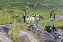 Alpabfahrt, Alpen, Alpfahrt, Alps, Appenzell Ausserrohden, Autumn, Brauchtum, Fall, Herbst, Hundwil, Ostschweiz, Schweiz, Schwägalp, Sennen, Suisse, Switzerland, Tracht, Urnäsch, tradition, Öberefahre
