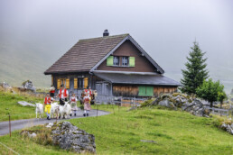Alpabfahrt, Alpen, Alpfahrt, Alps, Appenzell Ausserrohden, Autumn, Brauchtum, Fall, Herbst, Hundwil, Ostschweiz, Schweiz, Schwägalp, Sennen, Suisse, Switzerland, Tracht, Urnäsch, tradition, Öberefahre