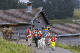 Alpabfahrt, Alpen, Alpfahrt, Alps, Appenzell Ausserrohden, Autumn, Brauchtum, Fall, Herbst, Hundwil, Ostschweiz, Schweiz, Schwägalp, Sennen, Suisse, Switzerland, Tracht, Urnäsch, tradition, Öberefahre