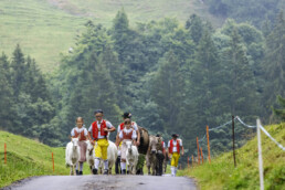 Alpabfahrt, Alpen, Alpfahrt, Alps, Appenzell Ausserrohden, Autumn, Brauchtum, Fall, Herbst, Hundwil, Ostschweiz, Schweiz, Schwägalp, Sennen, Suisse, Switzerland, Tracht, Urnäsch, tradition, Öberefahre