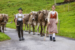 Alpabfahrt, Alpen, Alpfahrt, Alps, Appenzell Ausserrohden, Autumn, Brauchtum, Fall, Herbst, Hundwil, Ostschweiz, Schweiz, Schwägalp, Sennen, Suisse, Switzerland, Tracht, Urnäsch, tradition, Öberefahre